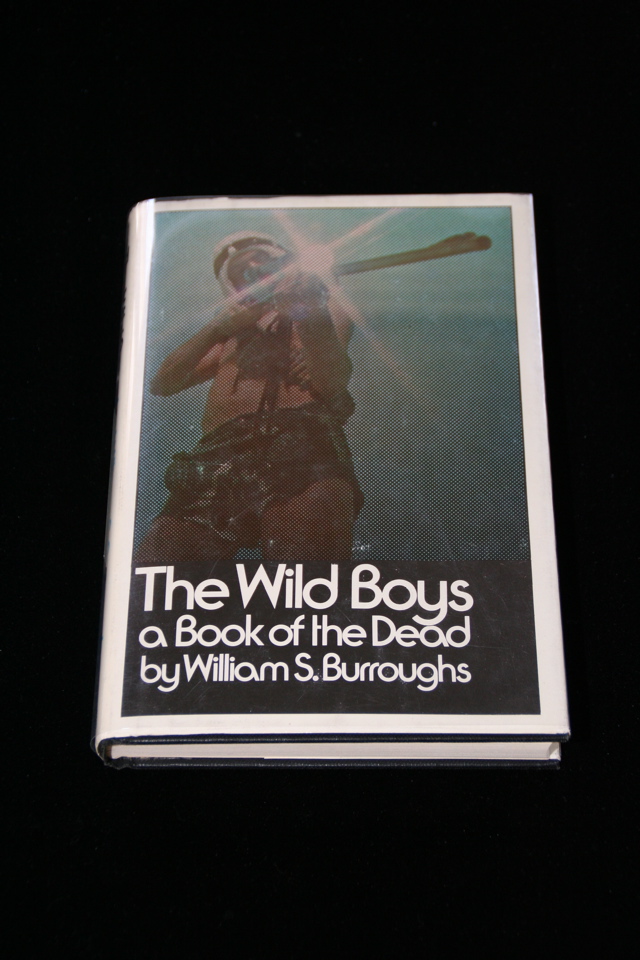 The Wild Boys