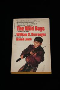 The Wild Boys